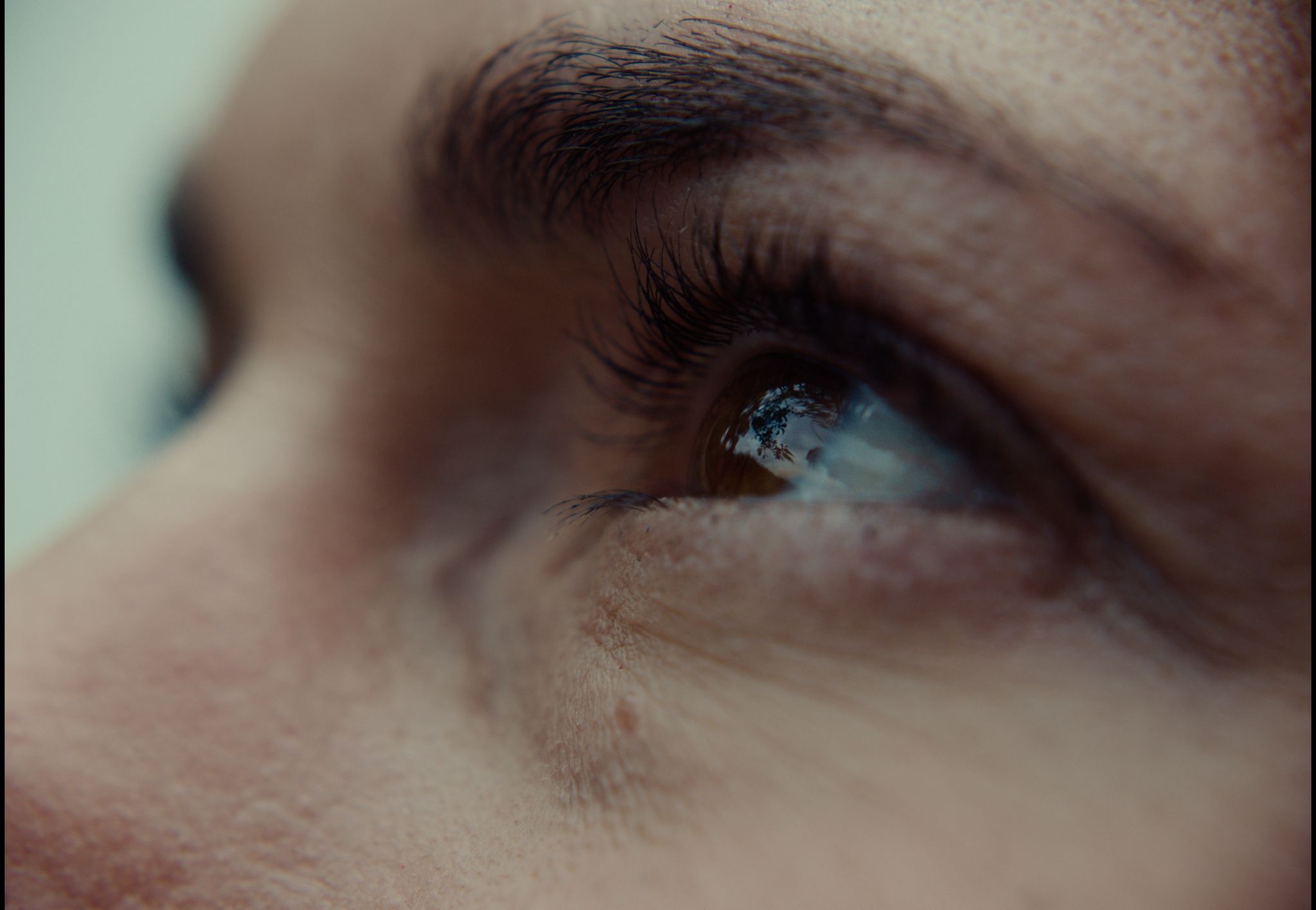 Home Collection Image 1