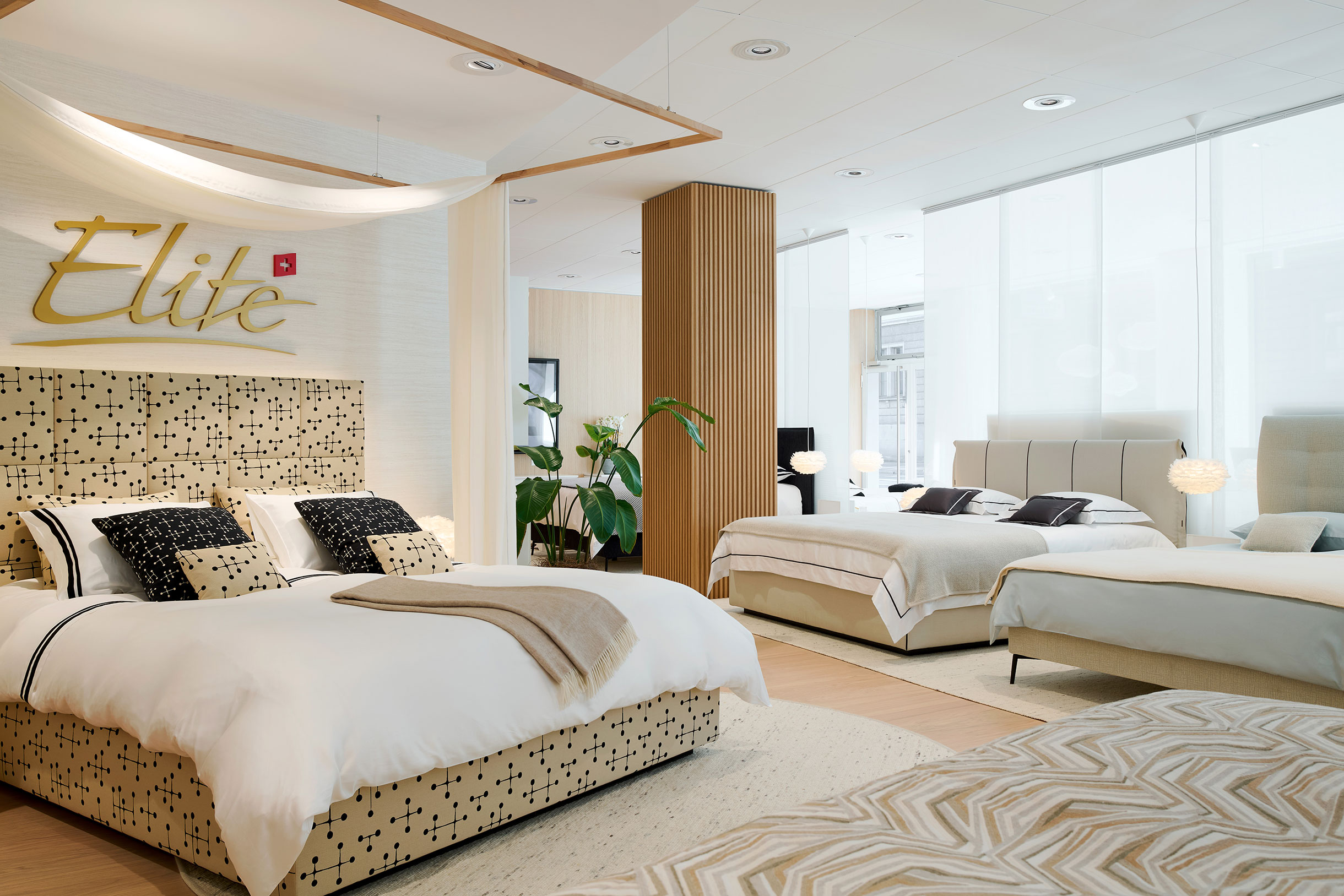 Elite Gallery Showroom