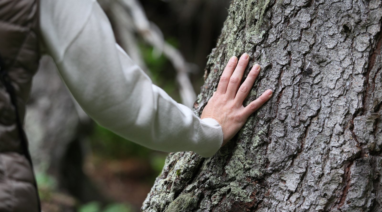Mieux vivre grâce au bois