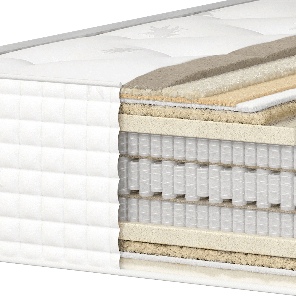 Symphony_3D_2025-summer