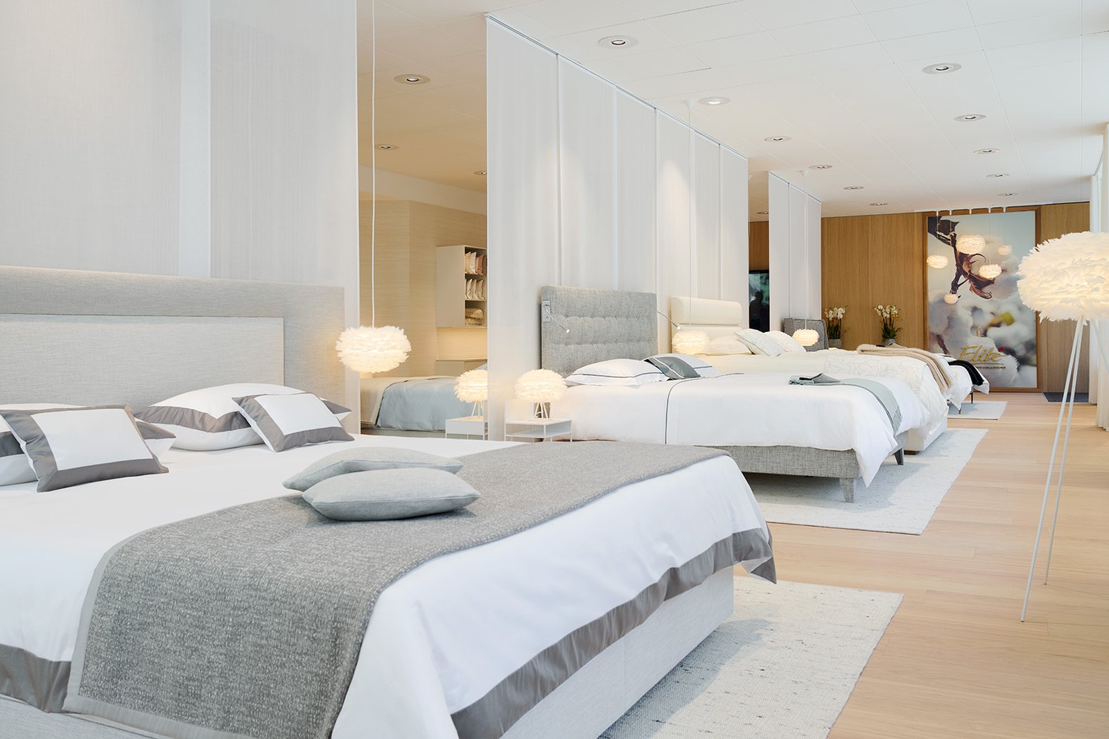 Elite Gallery Zurigo