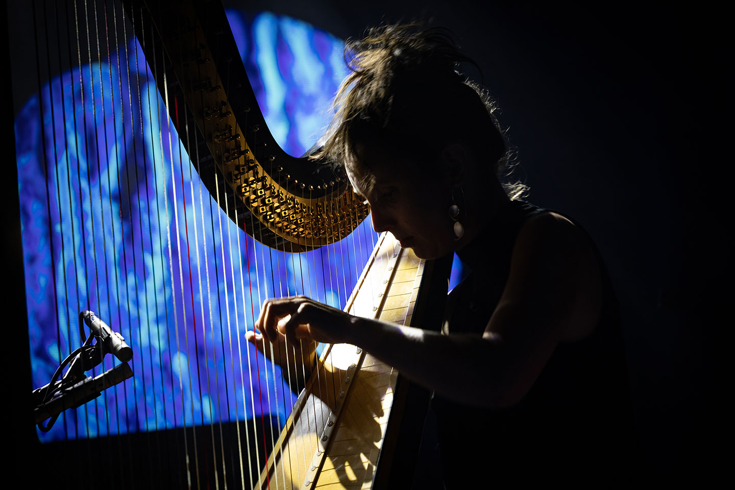 Home Collection Image 3