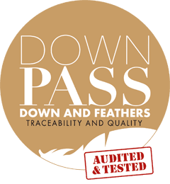 Downpass Logo