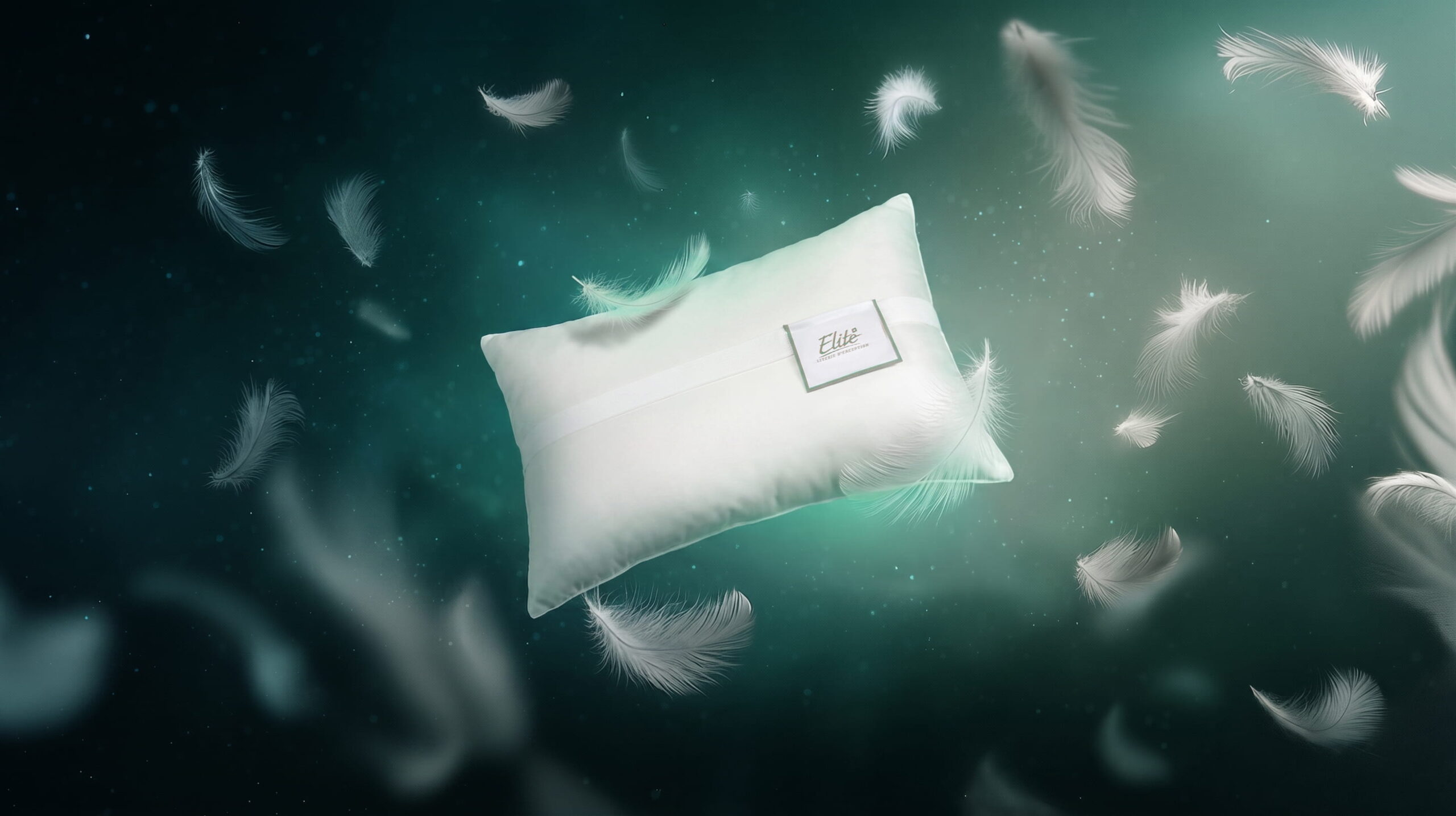 elite-pillow-travel-back