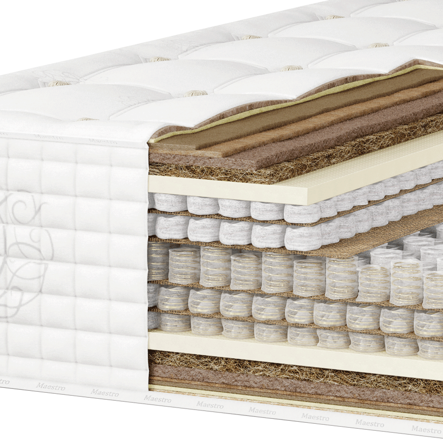 Maestro__3D_2025-summer