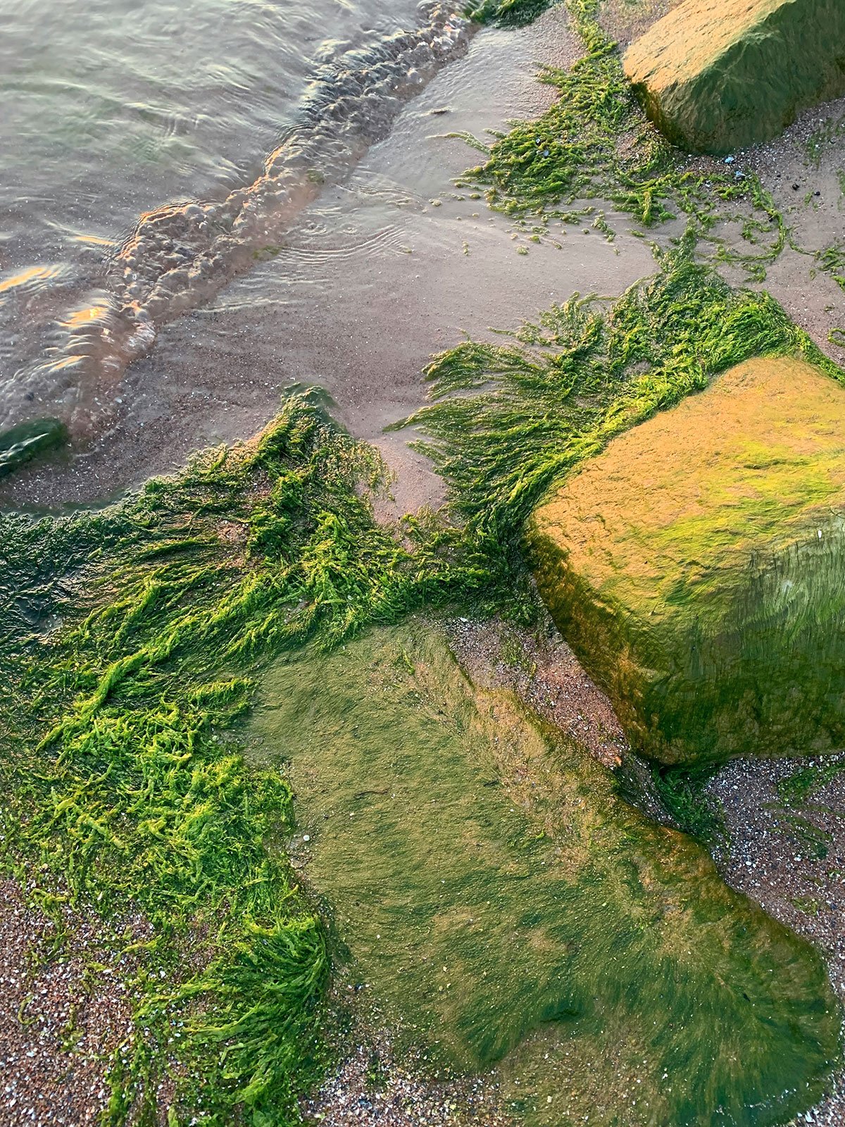 Home Collection Image 5