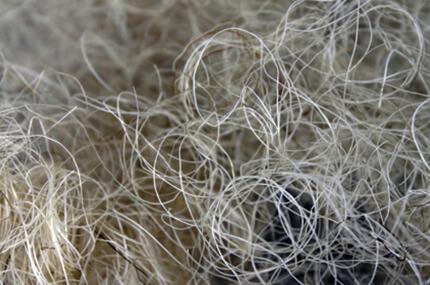 Capella Raw materials: Blond hair puree tail