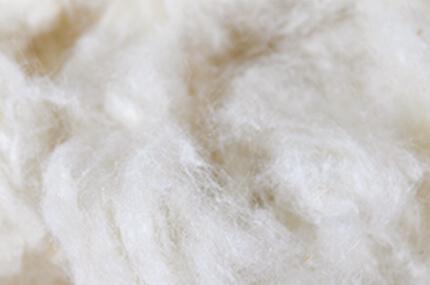 Capella Raw materials: Pure mowing wool